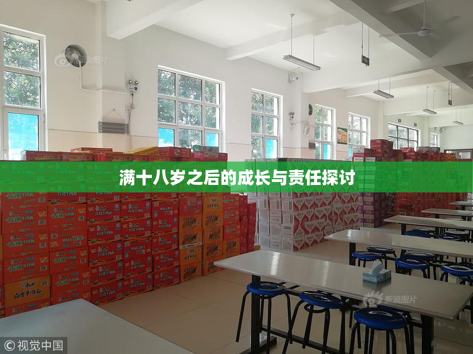 满十八岁之后的成长与责任探讨