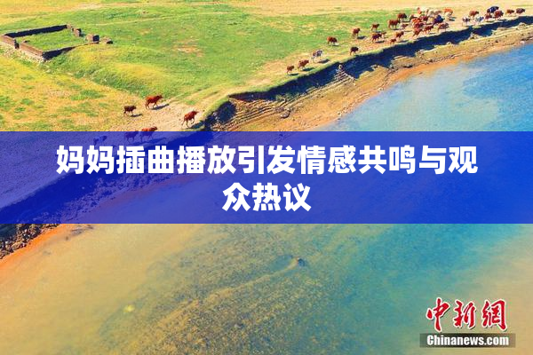 妈妈插曲播放引发情感共鸣与观众热议