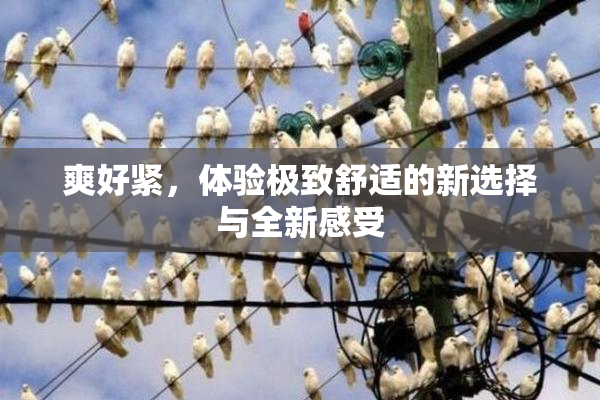 爽好紧，体验极致舒适的新选择与全新感受