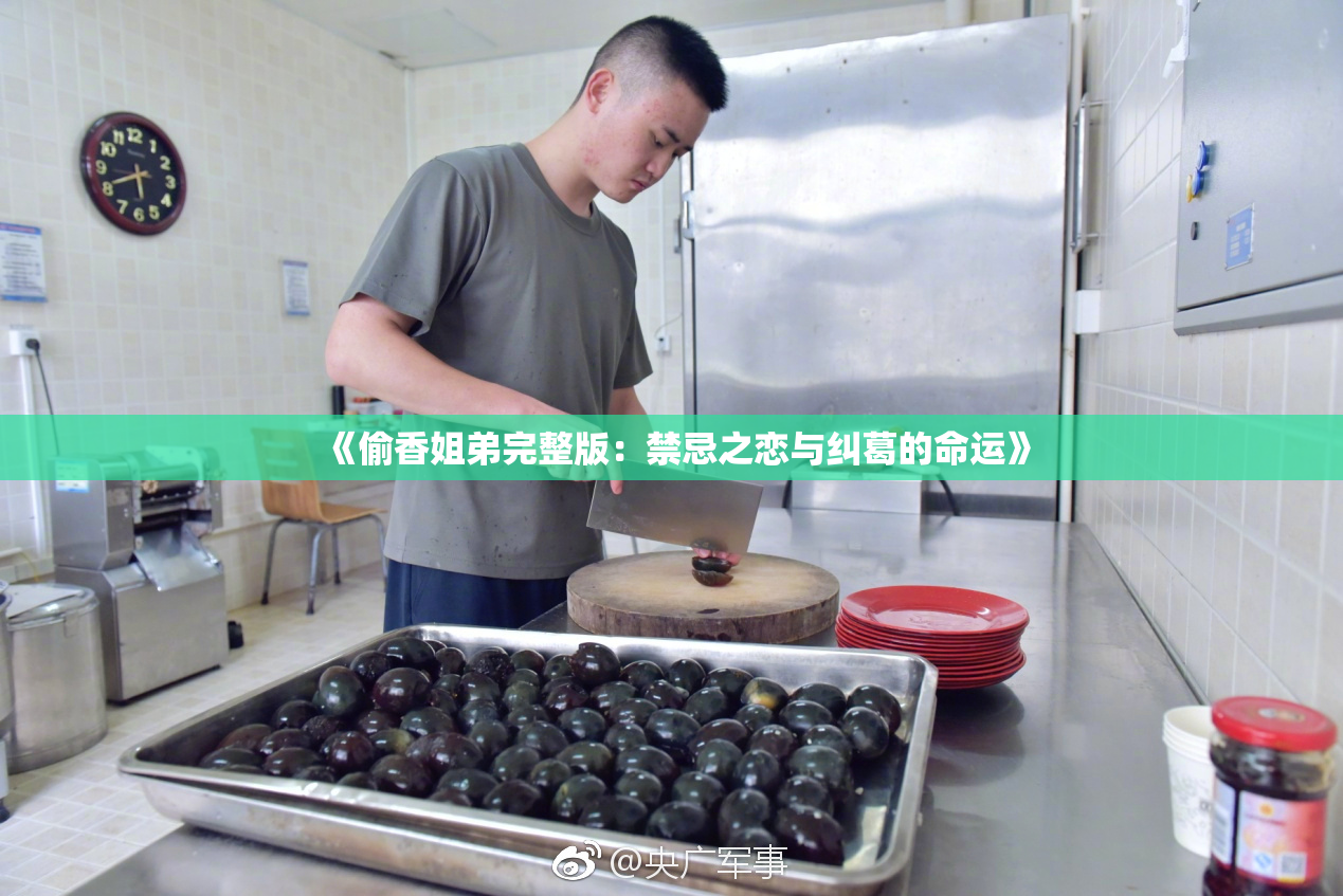 《偷香姐弟完整版：禁忌之恋与纠葛的命运》