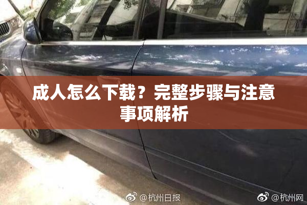 成人怎么下载？完整步骤与注意事项解析