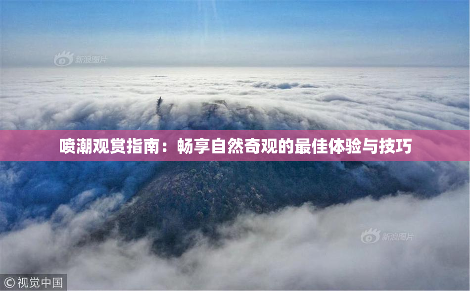 喷潮观赏指南：畅享自然奇观的最佳体验与技巧