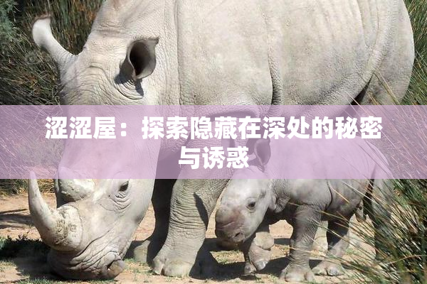 涩涩屋：探索隐藏在深处的秘密与诱惑