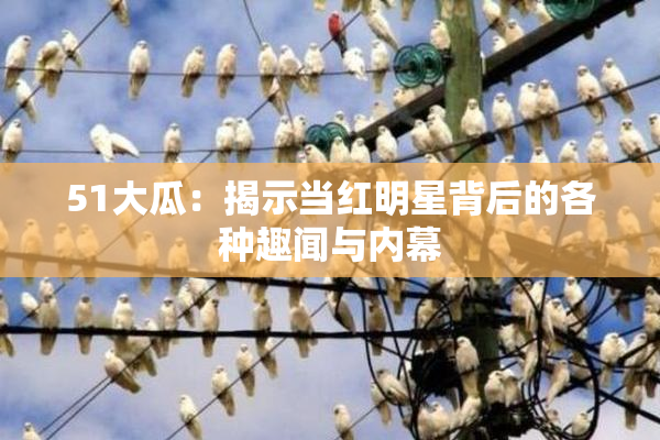 51大瓜：揭示当红明星背后的各种趣闻与内幕