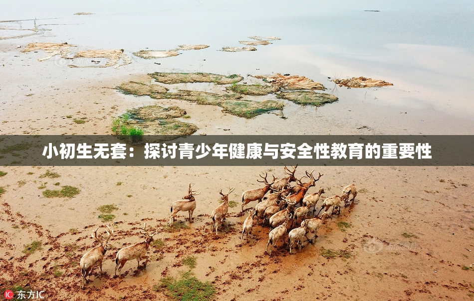小初生无套：探讨青少年健康与安全性教育的重要性