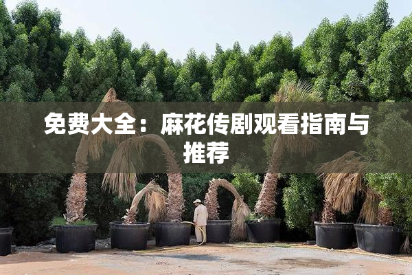 免费大全：麻花传剧观看指南与推荐