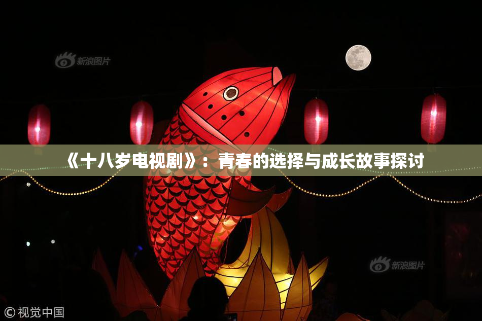 《十八岁电视剧》：青春的选择与成长故事探讨