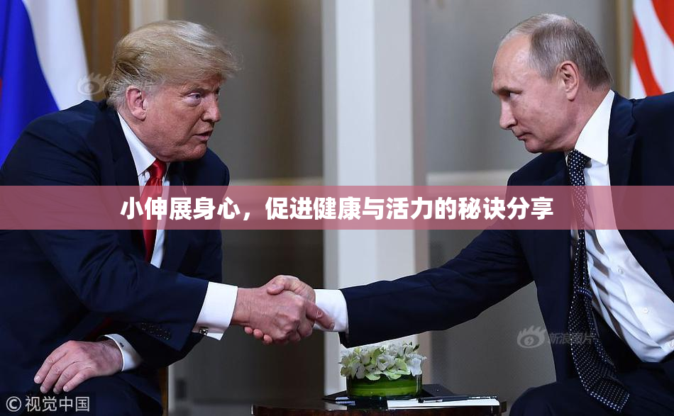 小伸展身心，促进健康与活力的秘诀分享