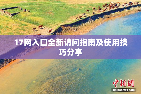 17网入口全新访问指南及使用技巧分享