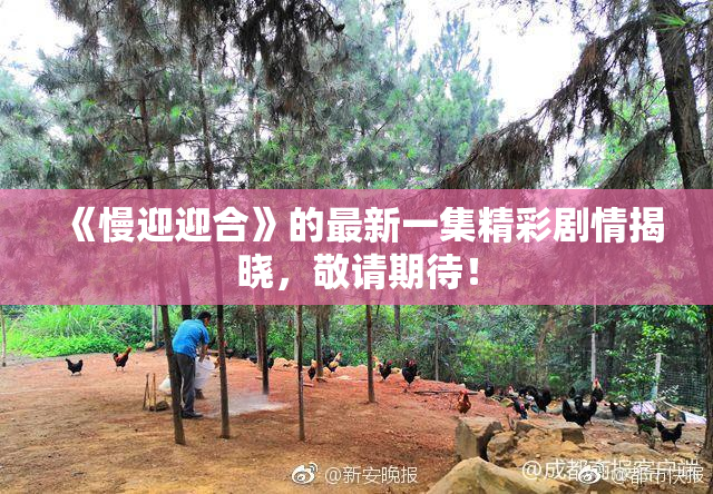 《慢迎迎合》的最新一集精彩剧情揭晓，敬请期待！