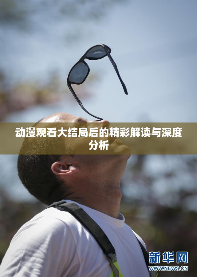 动漫观看大结局后的精彩解读与深度分析