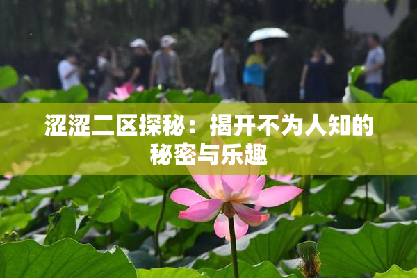 涩涩二区探秘：揭开不为人知的秘密与乐趣