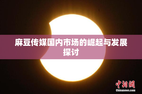 麻豆传媒国内市场的崛起与发展探讨