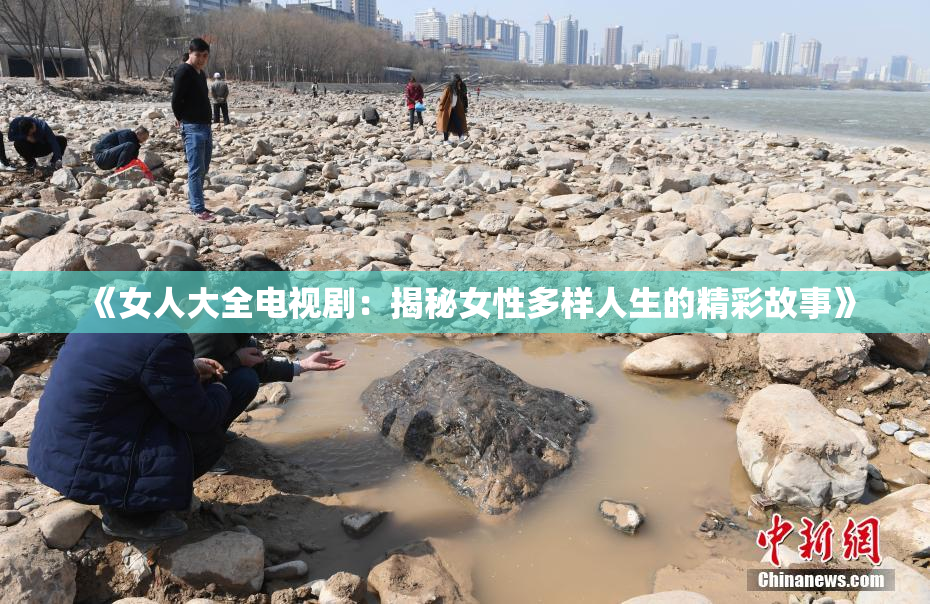 《女人大全电视剧：揭秘女性多样人生的精彩故事》