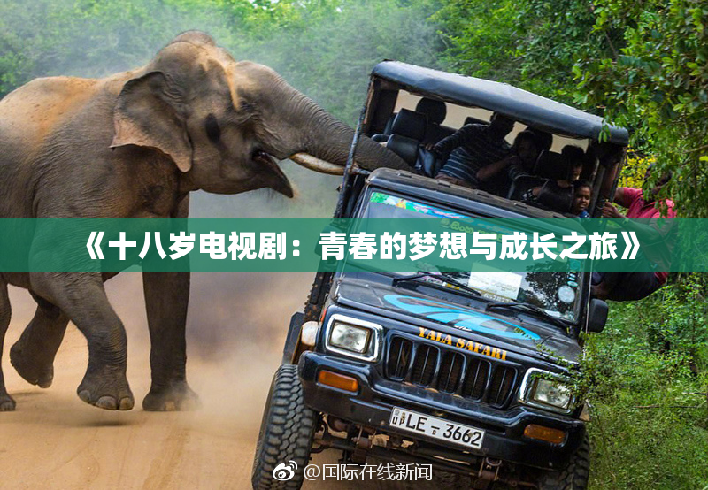 《十八岁电视剧：青春的梦想与成长之旅》