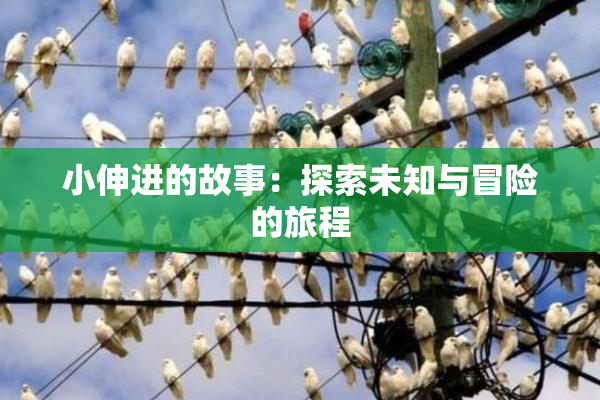 小伸进的故事：探索未知与冒险的旅程