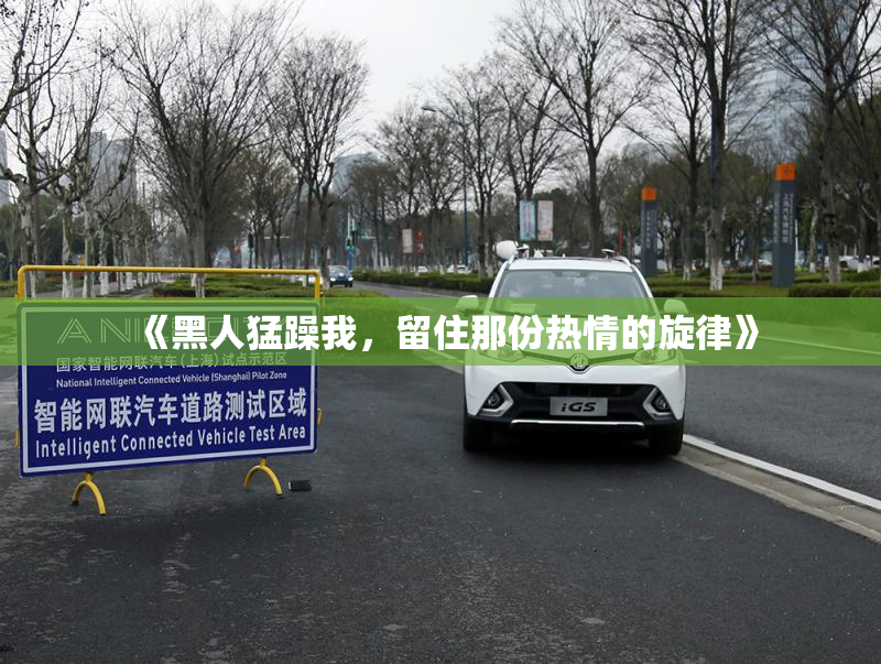 《黑人猛躁我，留住那份热情的旋律》