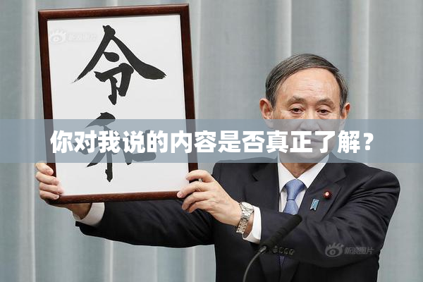 你对我说的内容是否真正了解？