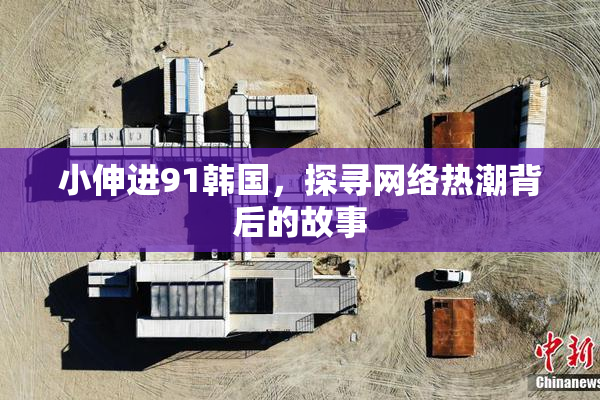 小伸进91韩国，探寻网络热潮背后的故事