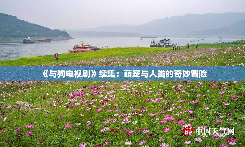 《与狗电视剧》续集：萌宠与人类的奇妙冒险