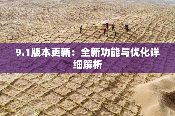 9.1版本更新：全新功能与优化详细解析