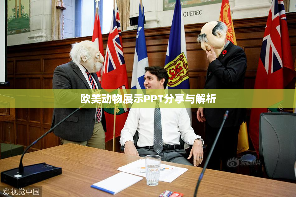 欧美动物展示PPT分享与解析