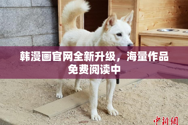 韩漫画官网全新升级，海量作品免费阅读中