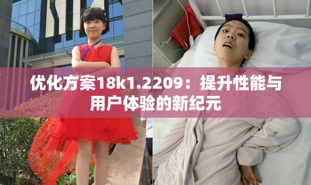 优化方案18k1.2209：提升性能与用户体验的新纪元