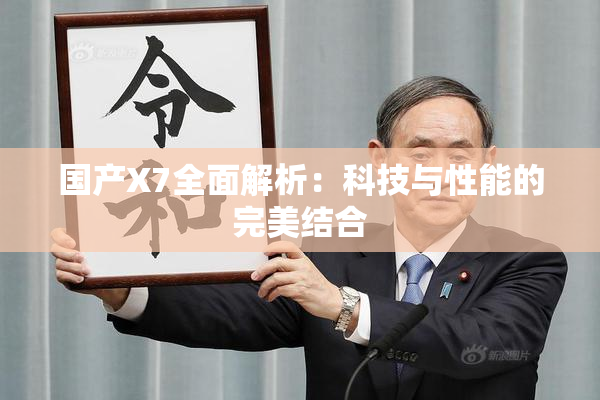 国产X7全面解析：科技与性能的完美结合
