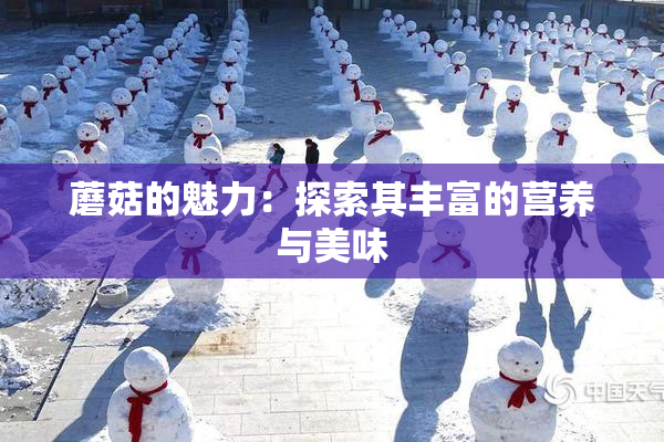 蘑菇的魅力：探索其丰富的营养与美味