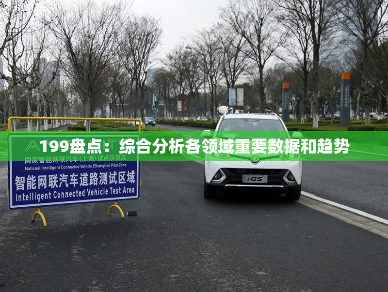 199盘点：综合分析各领域重要数据和趋势