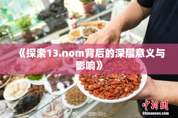 《探索13.nom背后的深层意义与影响》