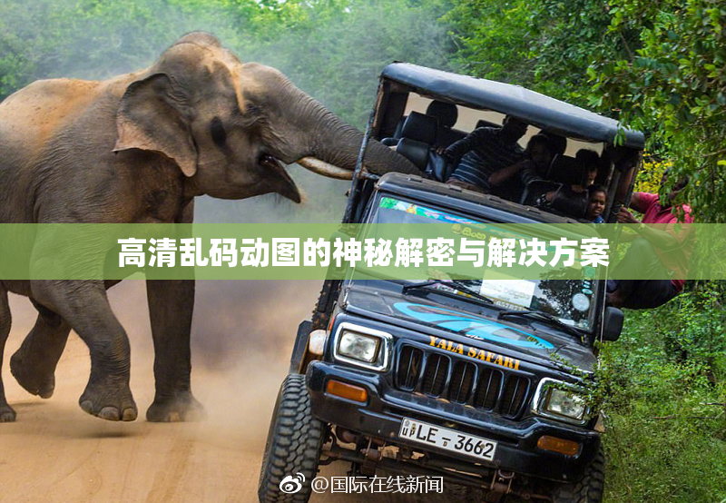 高清乱码动图的神秘解密与解决方案