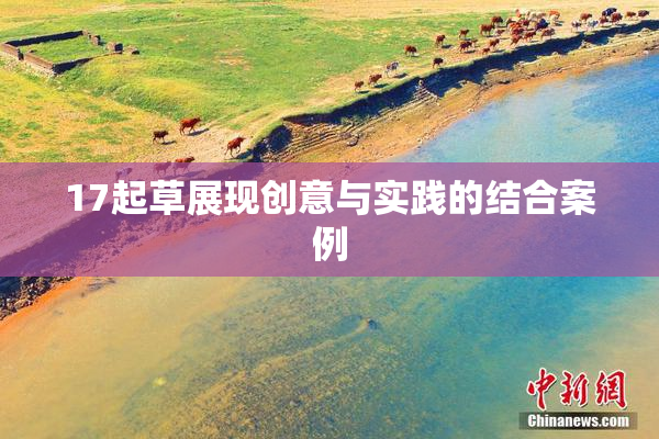 17起草展现创意与实践的结合案例