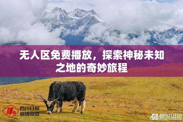 无人区免费播放，探索神秘未知之地的奇妙旅程