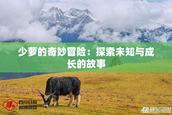 少萝的奇妙冒险：探索未知与成长的故事