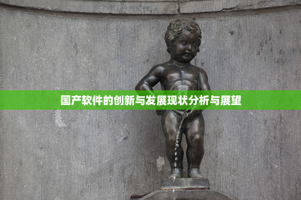 国产软件的创新与发展现状分析与展望