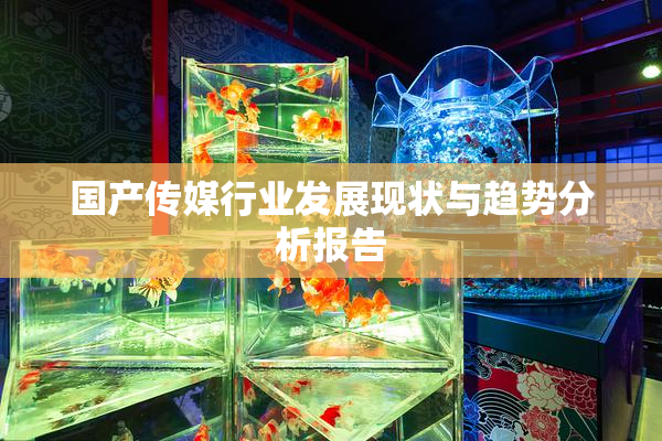 国产传媒行业发展现状与趋势分析报告