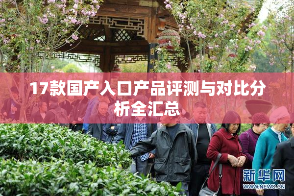 17款国产入口产品评测与对比分析全汇总