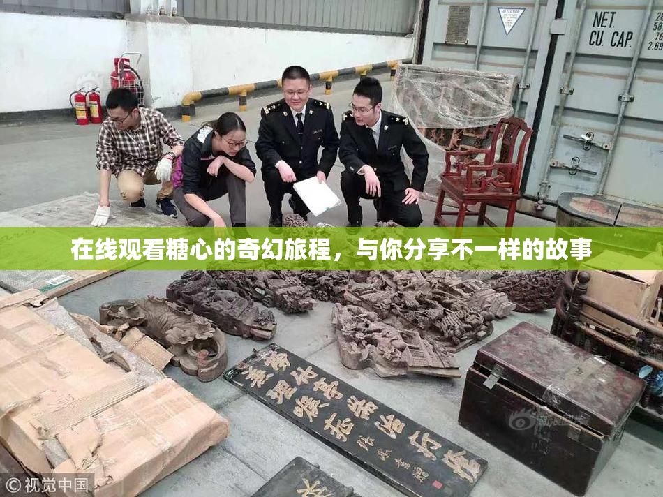 在线观看糖心的奇幻旅程，与你分享不一样的故事