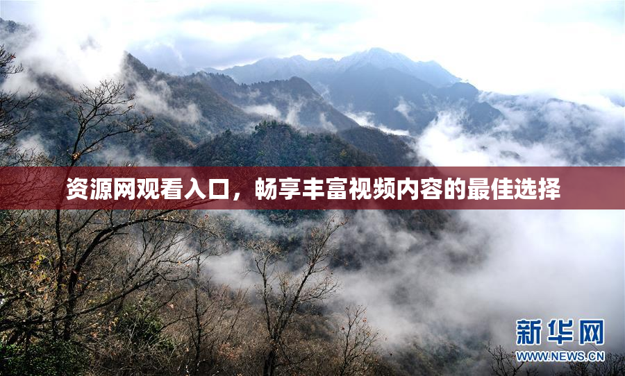 资源网观看入口，畅享丰富视频内容的最佳选择