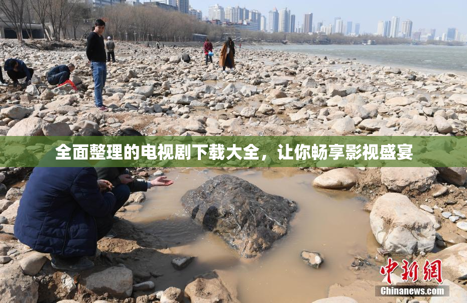 全面整理的电视剧下载大全，让你畅享影视盛宴