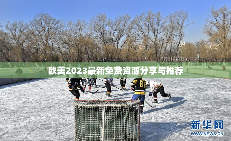 欧美2023最新免费资源分享与推荐