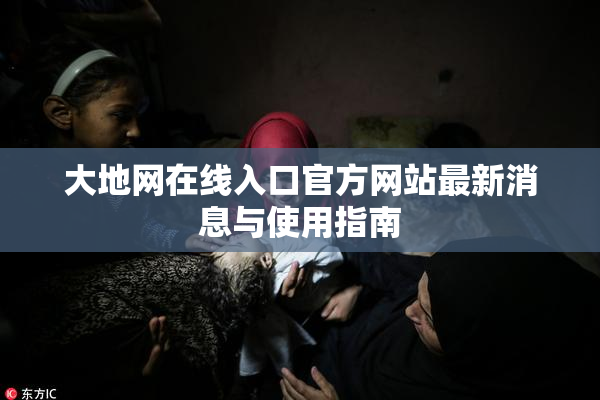 大地网在线入口官方网站最新消息与使用指南