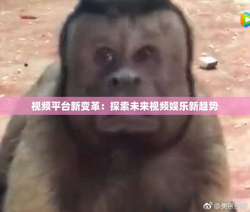 视频平台新变革：探索未来视频娱乐新趋势