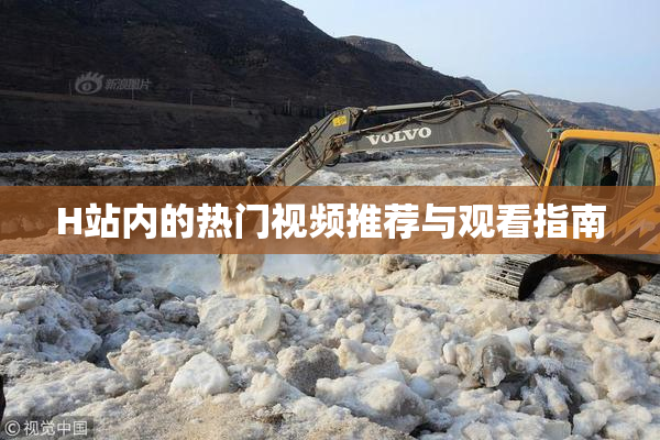 H站内的热门视频推荐与观看指南