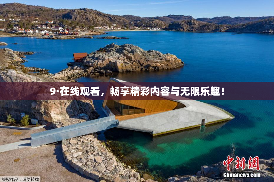 9·在线观看，畅享精彩内容与无限乐趣！