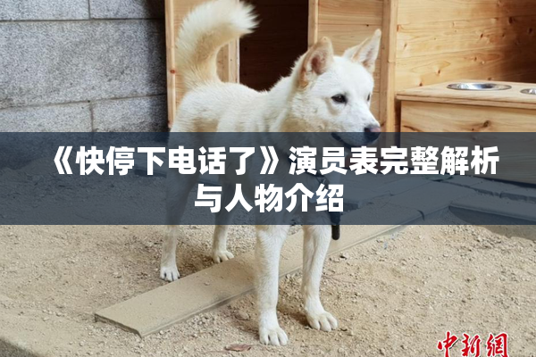 《快停下电话了》演员表完整解析与人物介绍