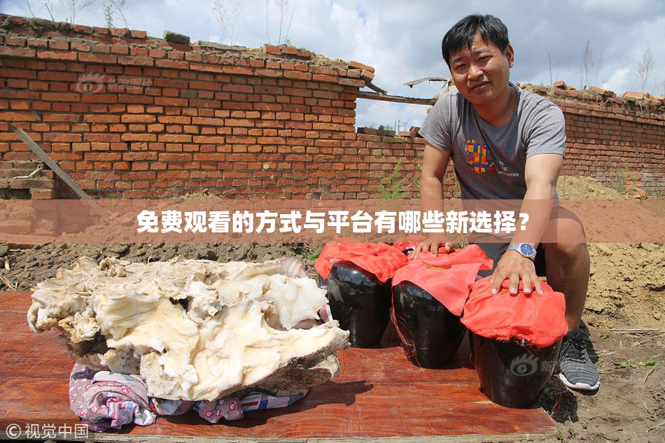 免费观看的方式与平台有哪些新选择？