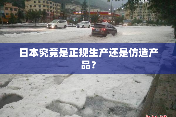 日本究竟是正规生产还是仿造产品？